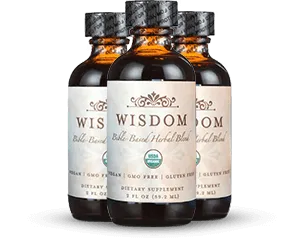 Wisdom Supplement 3 bottles — 3 month supply