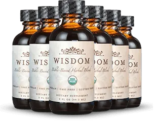 Wisdom Supplement 6 bottles — 6 month best value supply